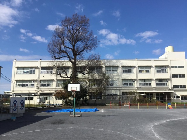 横浜市立白根小学校
